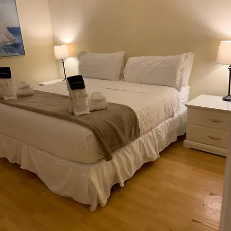 By The Beach Rentals Clearwater Beach Room photo